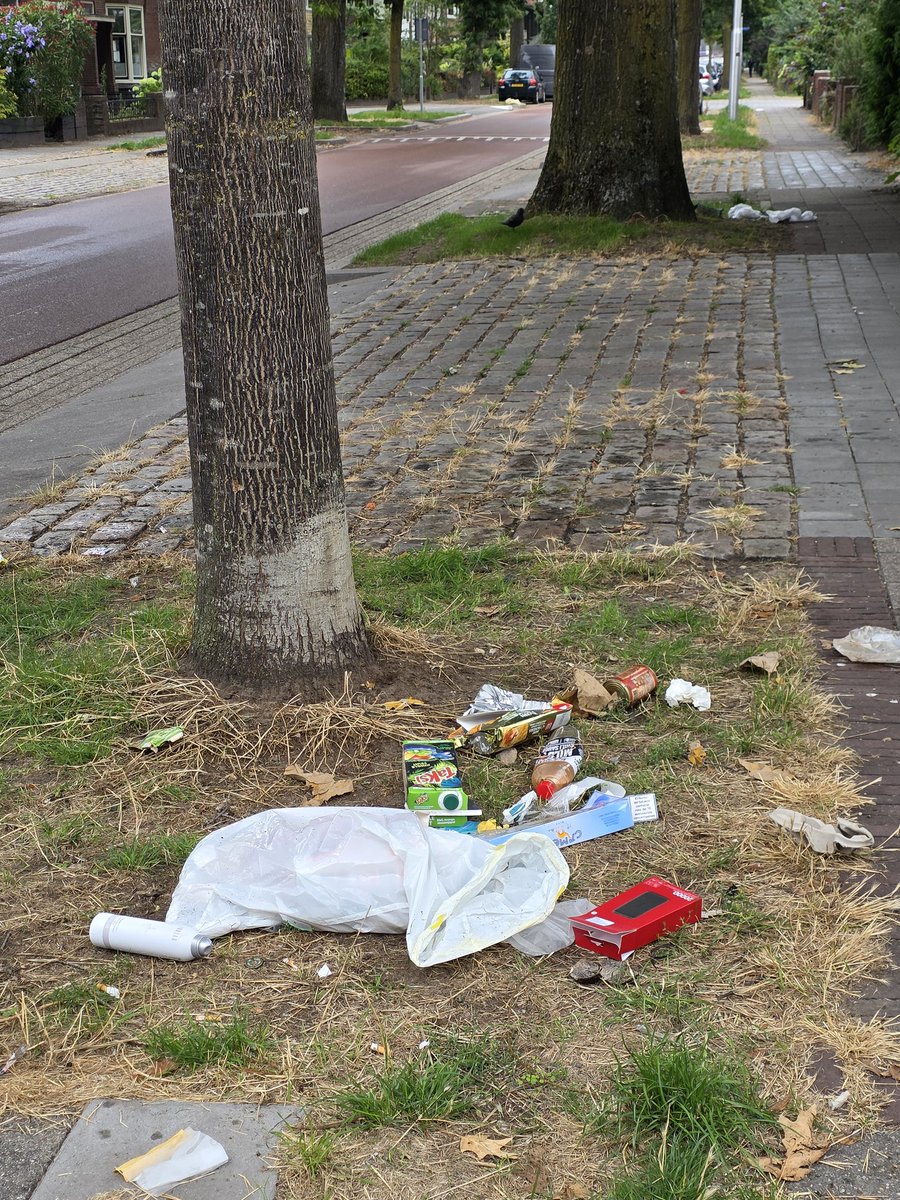 HJTeunissen's tweet image. Aangezien @gem_Nijmegen zichtbaar geen wijkbeheer heeft meld ik o.a. de rotzooi en de verhuur obstakels in de openbare ruimte.