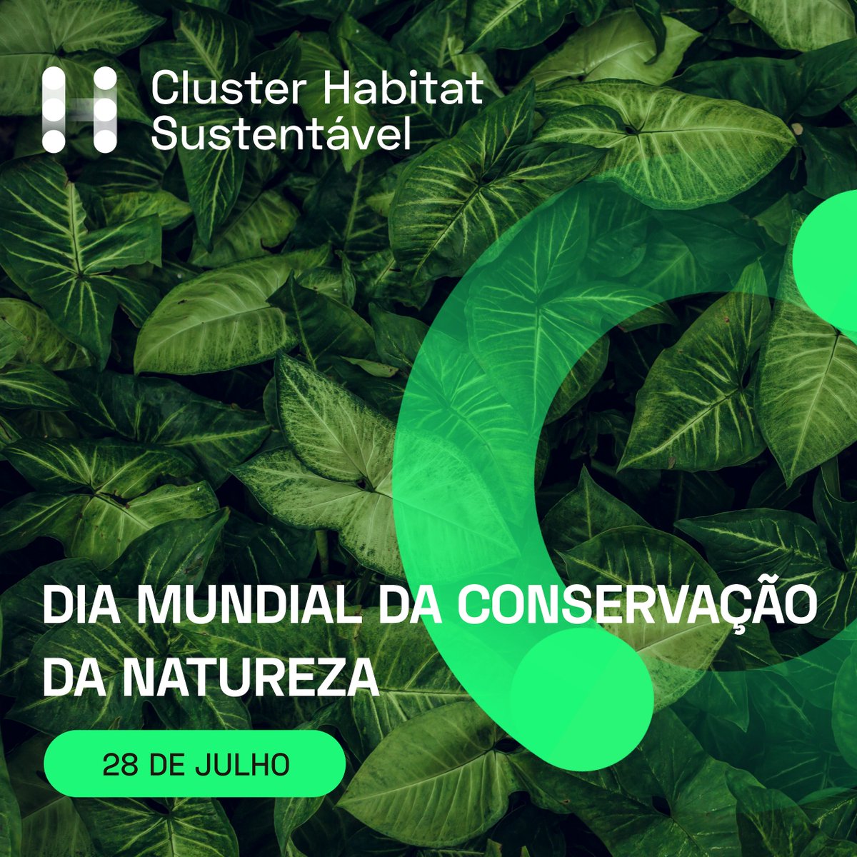 Hoje é o Dia Mundial da Conservação da Natureza! 🍃

O Cluster Habitat Sustentável volta a assinalar a relevância de promover uma relação equilibrada entre a atividade humana e os ecossistemas naturais. 🔄

ℹ️ Saiba mais aqui: clusterhabitat.pt/hoje-dia-28-de…