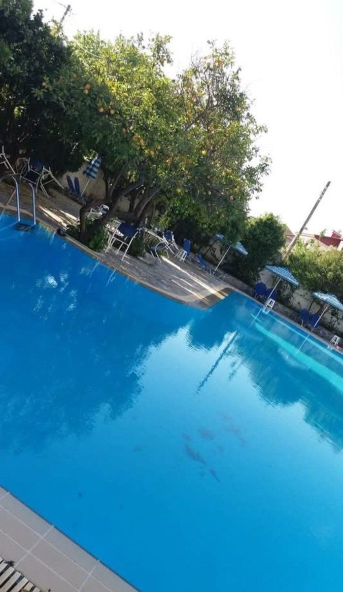 Matina_k13's tweet image. Διατηρώντας άριστες σχέσεις με όσους δεν μιλάω 😂....
θα απολαύσω όλες τις ομορφιές που μου επιφυλάσσει η μερα!!!
Διακοπών συνέχεια αφού...
#ionian_Island