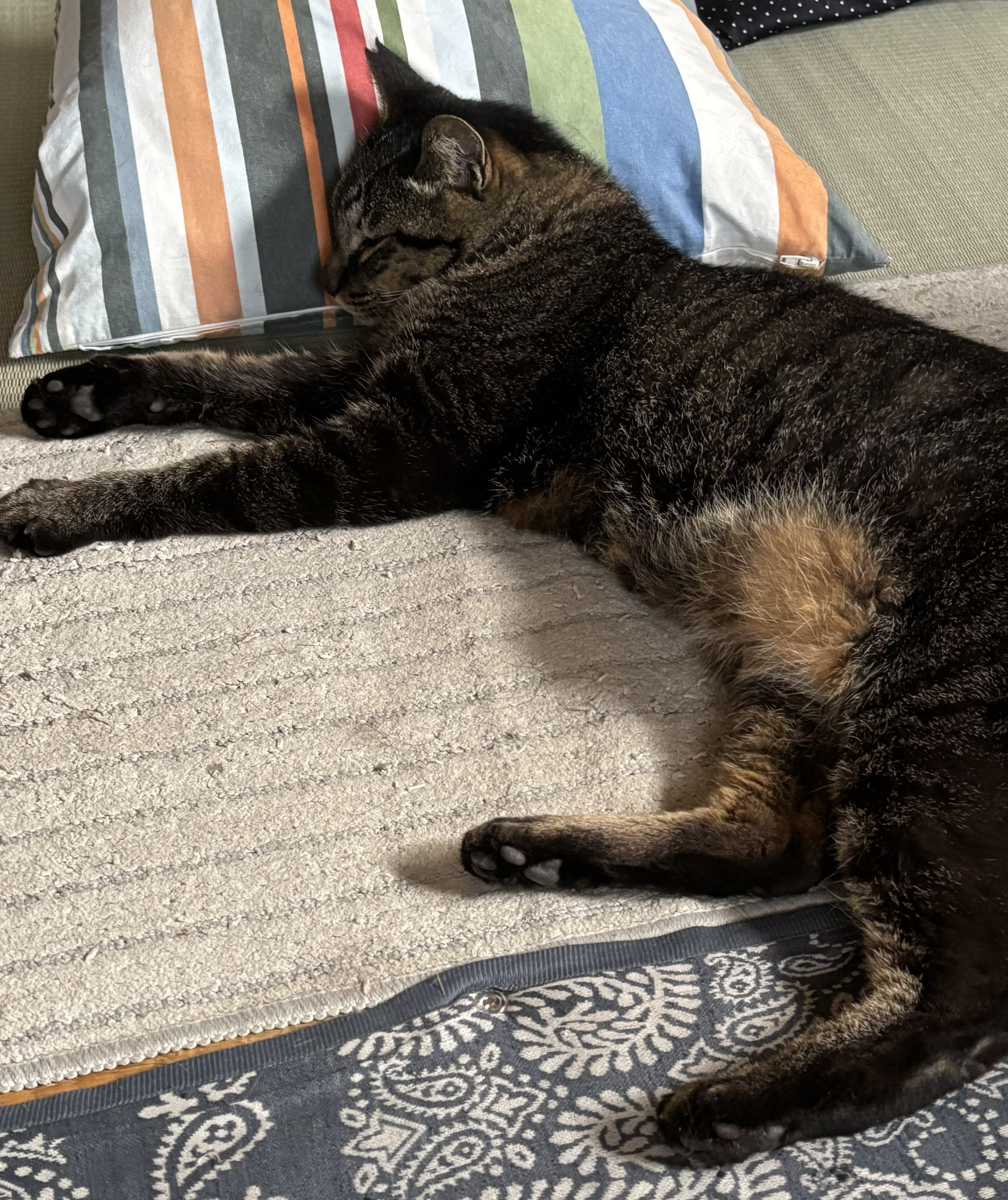 あぐりページ 2011-2017 Nissan Quest Lower Molding Clip 76847-1JB0A