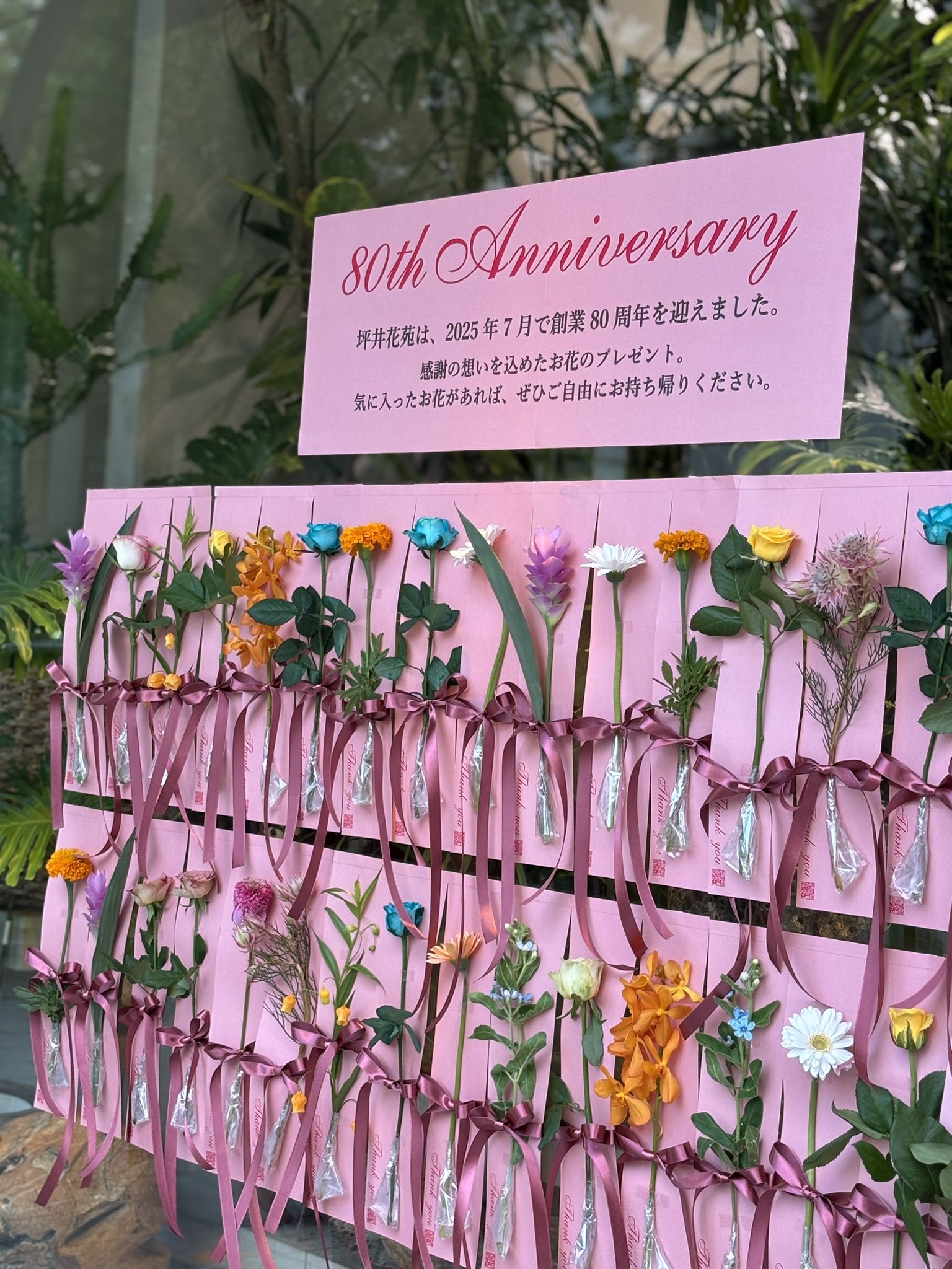 坪井花苑 本店 on X: 