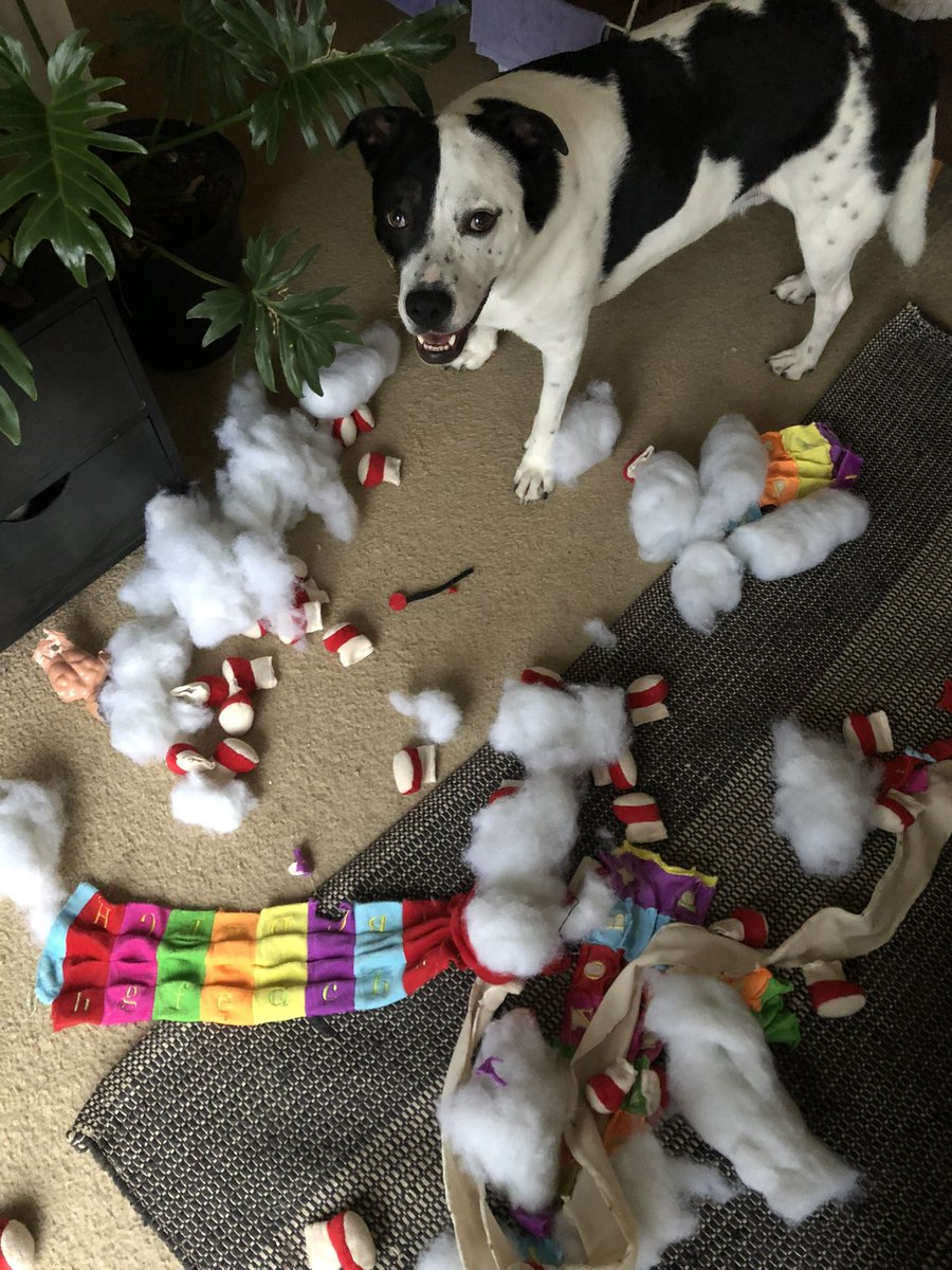 <a href="/MissBaileyWoof/">Mister Bailey OAM</a> Ripped up centipede, doo, doo , doo, doo, doo 😉