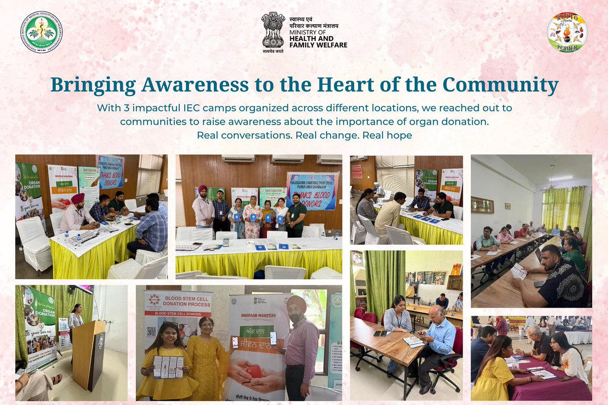 ROTTO NORTH tweet media