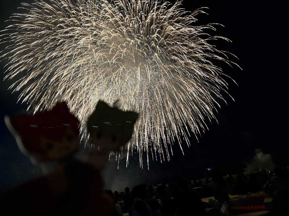 mitsuba_wysg's tweet image. じんぺいあしやお誕生日おめでとー！
今年のエビマヨ春雨餃子パンはレタス入りでパンの存在感が良い感じに薄れてたよ
来年はもっと具材詰め込みたい
