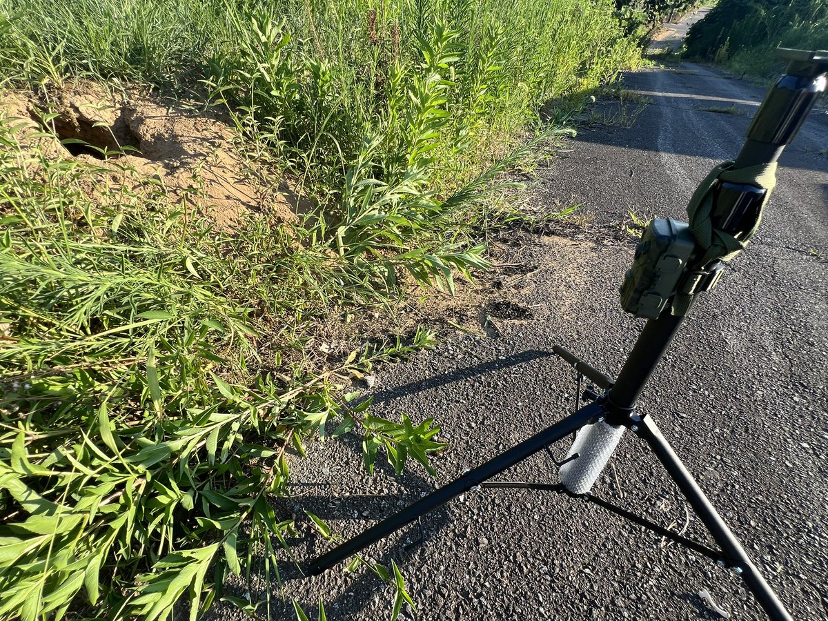 ModelHgs's tweet image. 乾電池駆動のカメラ入手したので設置してみた　
#野生動物撮影