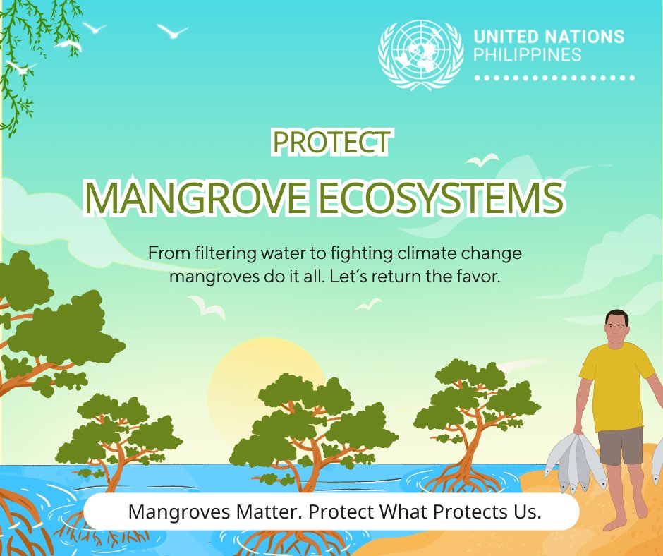 UNPhilippines's tweet image. Mangroves are in danger—disappearing 3–5x quicker than global forests. Yet they shield coasts, store carbon, support life, and secure food. 🌿🌊
This typhoon season, we are reminded to protect these vital ecosystems before it's too late. More info⬇
tinyurl.com/3hepepjs