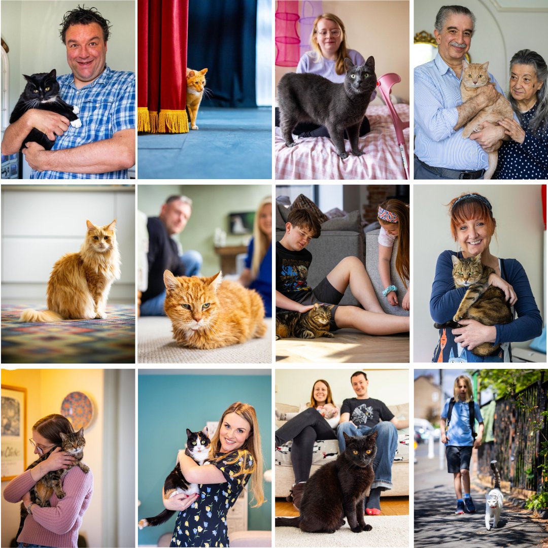 The clock is ticking... Watch all the emotional videos of our fantastic cat finalists and have your say on who should be given the title of Cat of the Year 2025! spr.ly/NCAs25VotingX🏆