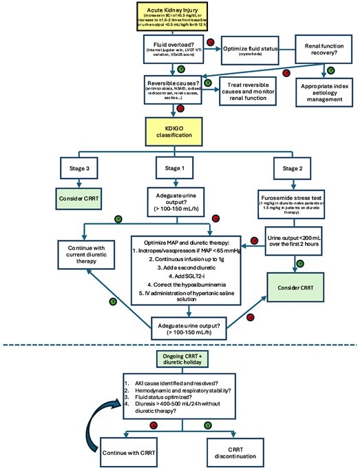 How often you have to deal with severe #AKI in your #ICU? Check this excellent stepwise approach by <a href="/MarcoMetra/">Marco Metra</a> et al. that might help you in your clinical practice #EHJACVC ow.ly/hlPY50WsAwZ

<a href="/EHJACVCEiC/">EHJACVC Editor-in-Chief</a> <a href="/ACVCPresident/">ACVCPresident</a> <a href="/drmilicaa/">Milica Aleksic</a> <a href="/ann_oleksiak/">Anna Oleksiak, MD PhD</a> <a href="/maria_bergami/">Maria Bergami, MD, PhD</a>