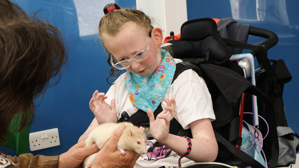 Who wouldn't want to spend a morning holding cute animals? 🦊🕊️

<a href="/zanteandfriends/">Zante Fox and Friends</a> delighted our learners and staff at Northern Counties' Summer School last week.

#ZanteTheFox #WorldNatureConservationDay #CuteAnimals