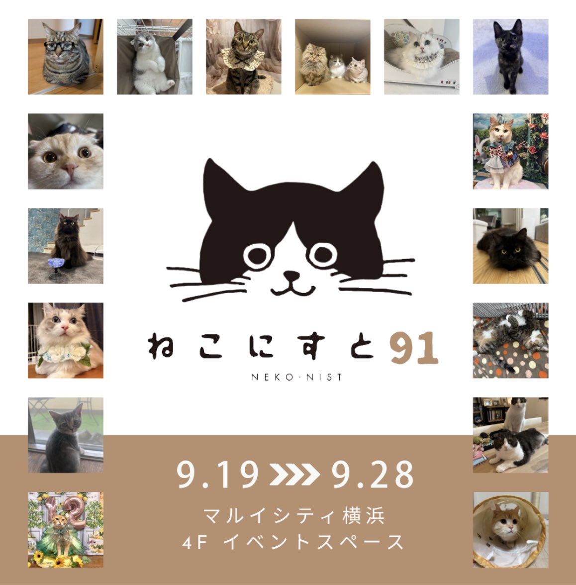 Renakkuma0303's tweet image. ねこにすと横浜当選しました🥰
お近くに行った際は是非見てやってください🙇
ねこにすと91 マルイシティ横浜
9/19(金)~9/28(日)
#ねこにすと #ねこにすと91 #ねこにすと91マルイシティ横浜 #ねこにすと横浜