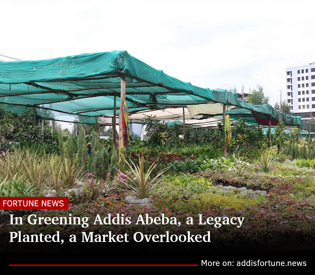 addis_fortune's tweet image. #GreenLegacy Addis Abeba's current rainy season marks a shift in the city’s greening initiatives.
Read more - ow.ly/OcGH50WvRF0