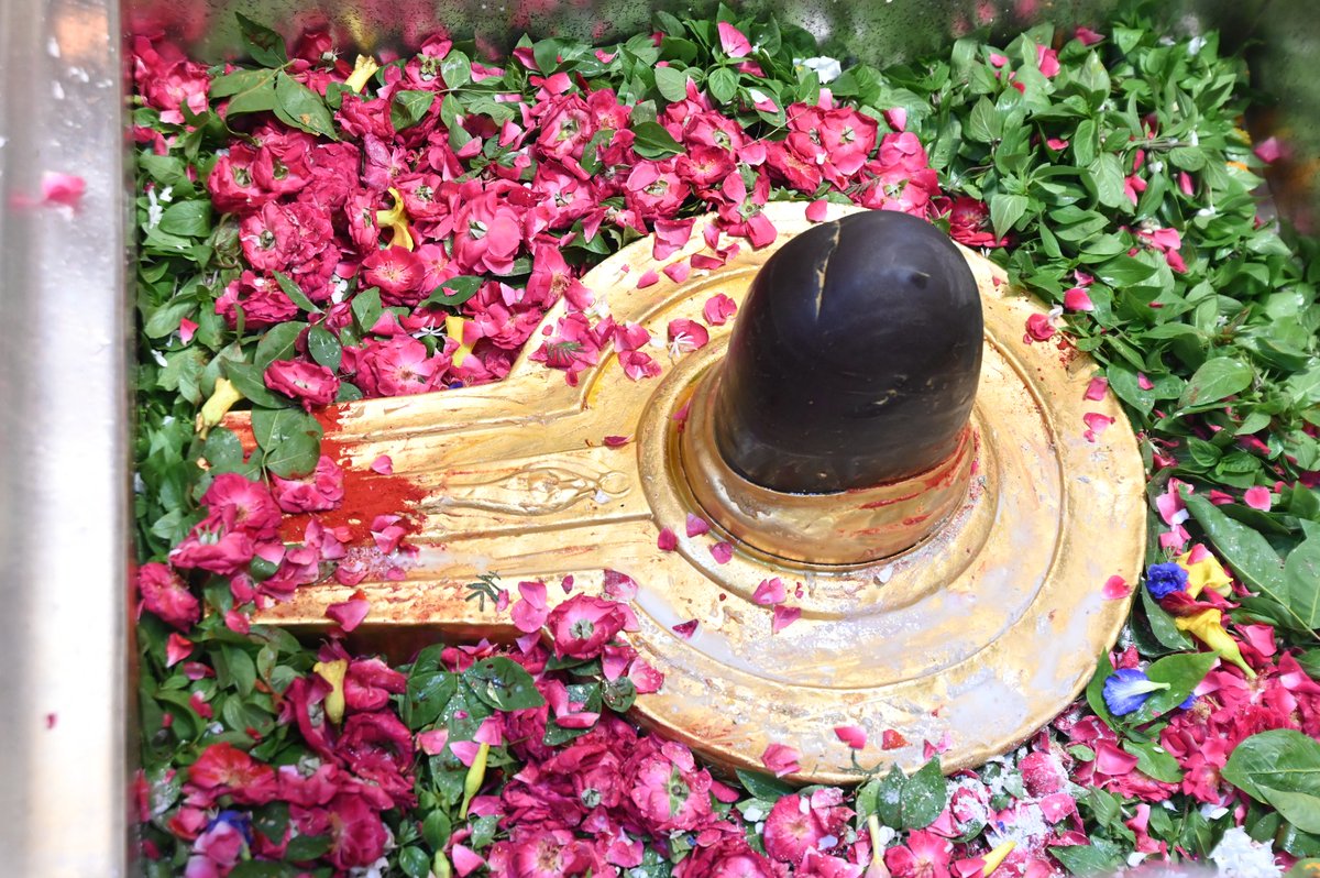 ShriVishwanath's tweet image. पवित्र श्रावण मास, तृतीय सोमवार, 28/07/2025, बाबा विश्वनाथ के मध्याह्न-भोग आरती दर्शन I
#kashivishwanath #kashi #VishwanathDham #sawan2025 #sanatandharma