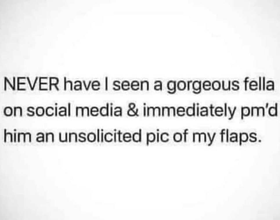 Morning scamps. Fact. 🤣😂😂🫠🫡