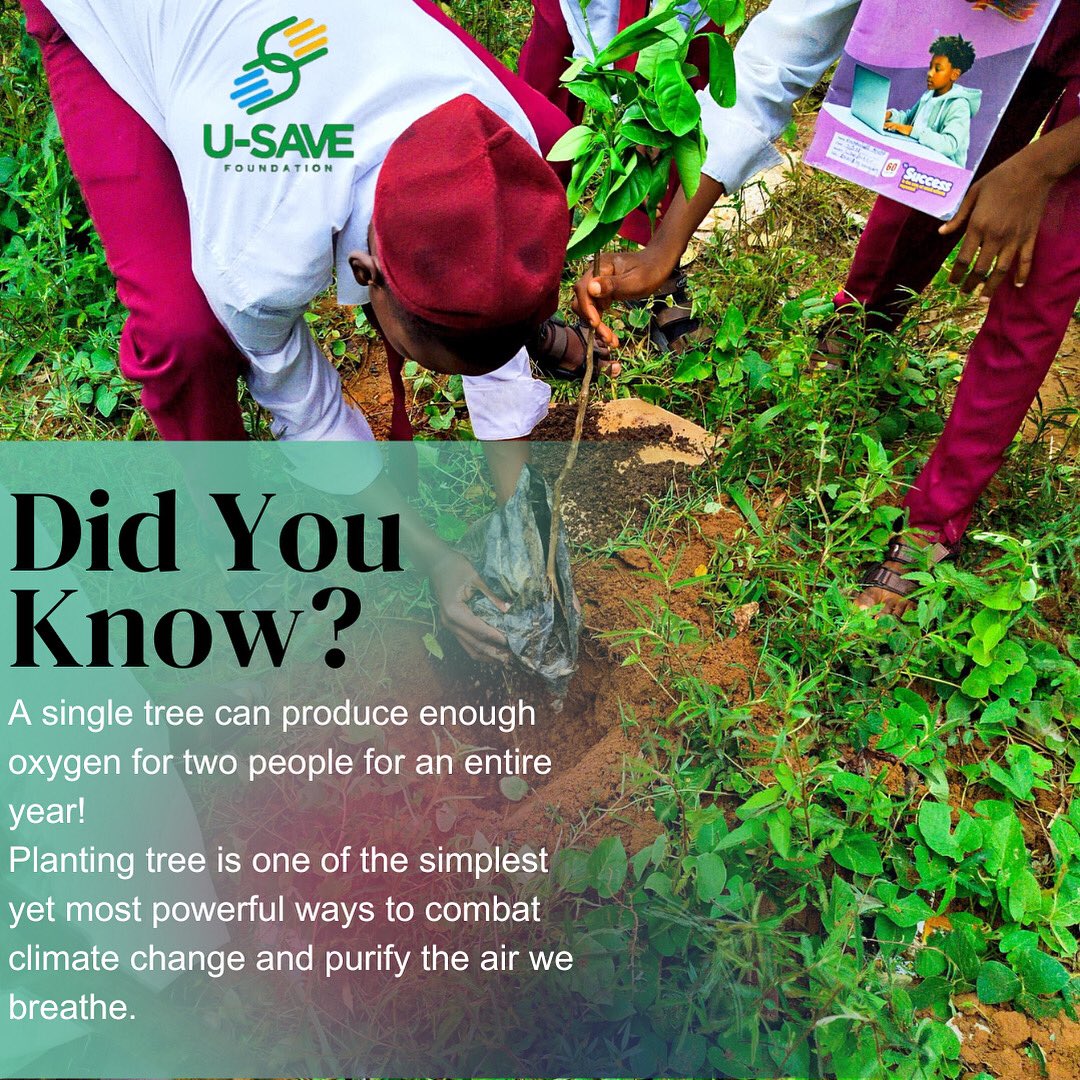 usavefoundation's tweet photo. DID YOU KNOW? 
This simple act has profound benefits for our planet and our health.
Let’s continue to grow together. 

#didyouknowdaily #ecofriendly #environmentaltalk #climatechangeisreal #usavefoundation https://t.co/m37KNkmVkR