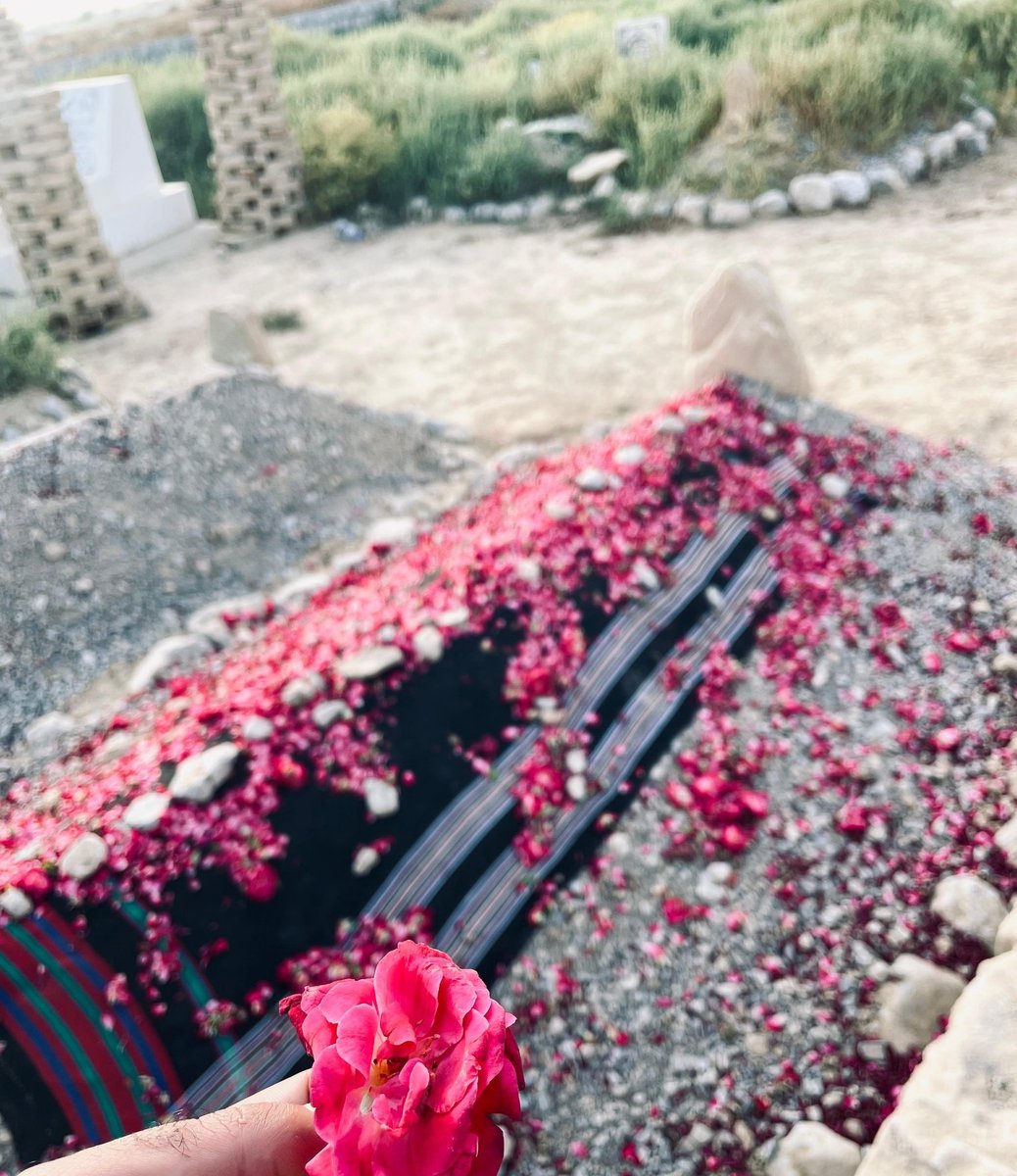 Fatima_Baluch7's tweet image. یار صفیان نما قبر آن آجوئی نا ذباد بننگ ء۔۔۔⚘️