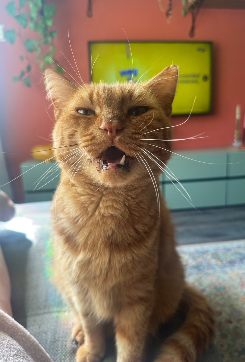 Josyanne's tweet image. Guus is wenst jullie allemaal een fijne maandag.