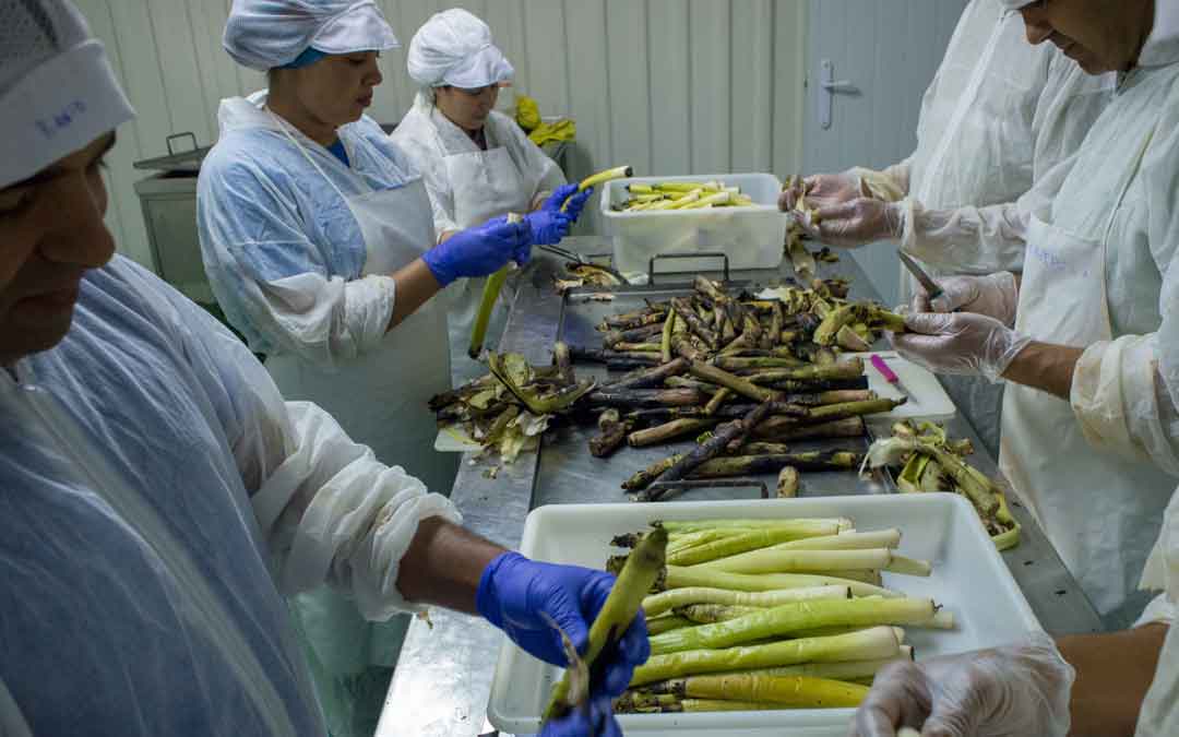 Alacón quiere ampliar su conservera e incrementar sus puestos de trabajo
El Ayuntamiento solicita una ayuda al FITE para hacer crecer el proyecto, gestionado por Apadrinaunolivo.org con 7 trabajadoras

lacomarca.net/alacon-quiere-…