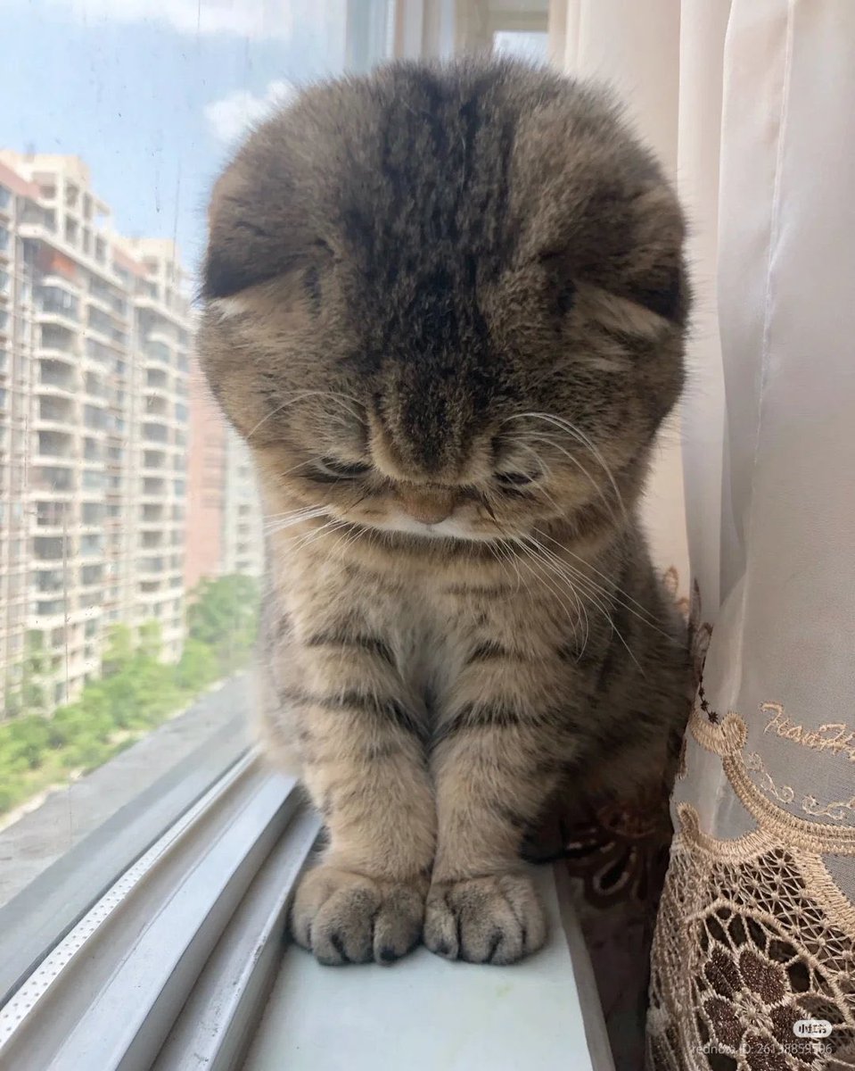 Gekikawa_Dbts's tweet image. どうしたの？