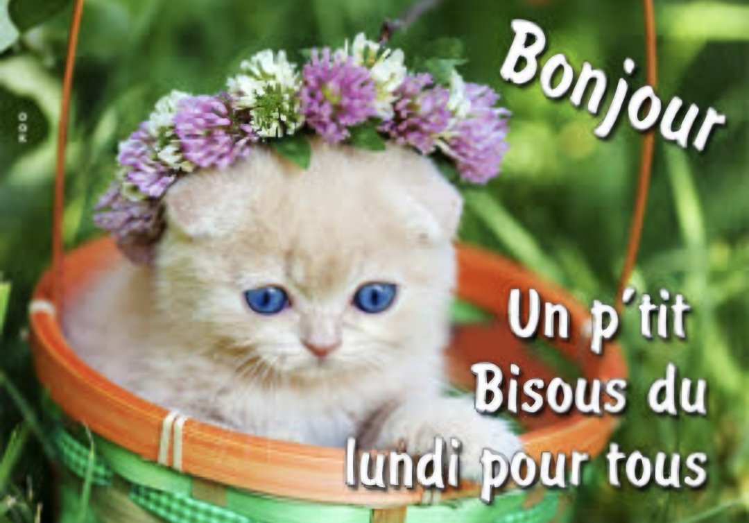 aufildececompte's tweet image. Une semaine commence que je vs souhaite excellente
Pour les non-vacanciers, pas le choix, faut la démarrer parfois en trombe
Faites attention aux autres, prenez bien soin de vous
Bonjour
TweetAmis de X
Nomades
Passez un beau LUNDI
Avec tout mon amical amour
#Ligue_des_optimistes