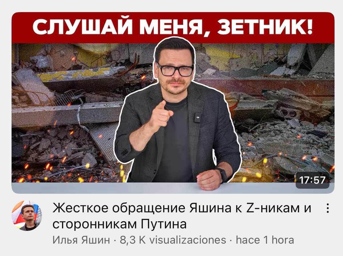 Ulianalive's tweet image. Надо предложить Яшину фотки моего чихуахуа для обложек