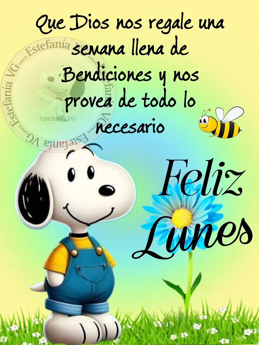 @Augusto Rivera (@7a8527e21de74bc) on Twitter photo 