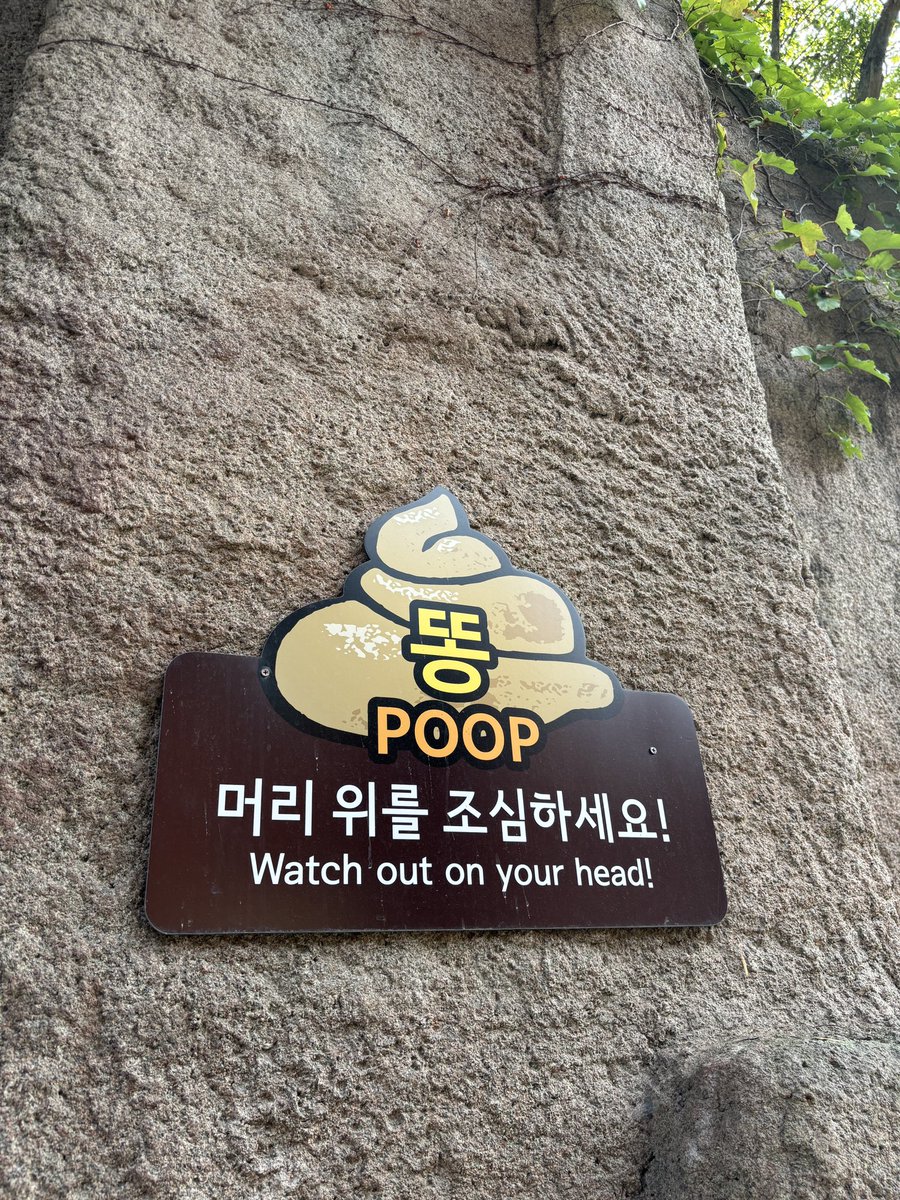 kawanegi's tweet image. ソウル大公園って事は当然ソウル動物園という事で……
今日使っている気候同行カード提示で入園料が半額なのです☺️
気候同行カードのエリアも果川市の大公園駅がギリギリ入ってるので、自分にとっては神カード😚
