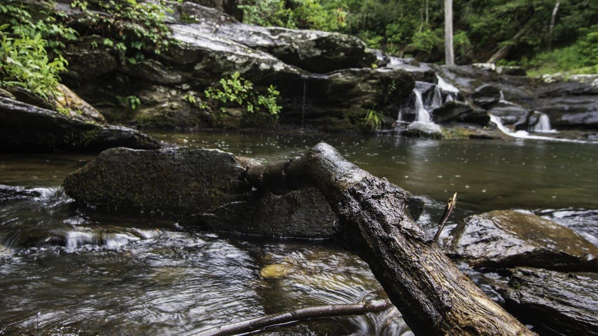 FOX2News's tweet image. A mother and father were killed this weekend at an Arkansas state park while they were out hiking with their young daughters, state police said. A manhunt is underway for the suspect. fox2detroit.com/news/devils-de…