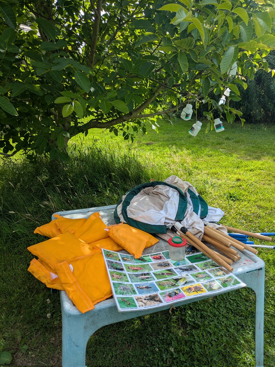 darwincentre's tweet image. Ready for a morning of Minibeasts with @Prendergast2022 gardening holiday club! #STEMclub #GardeninhClub #TerrestialHabitats #Minibeasts #Invertebrates #Microscopes #SweepNetting #Grubbing #ButterflyNets #TreeBeating @DragonLng