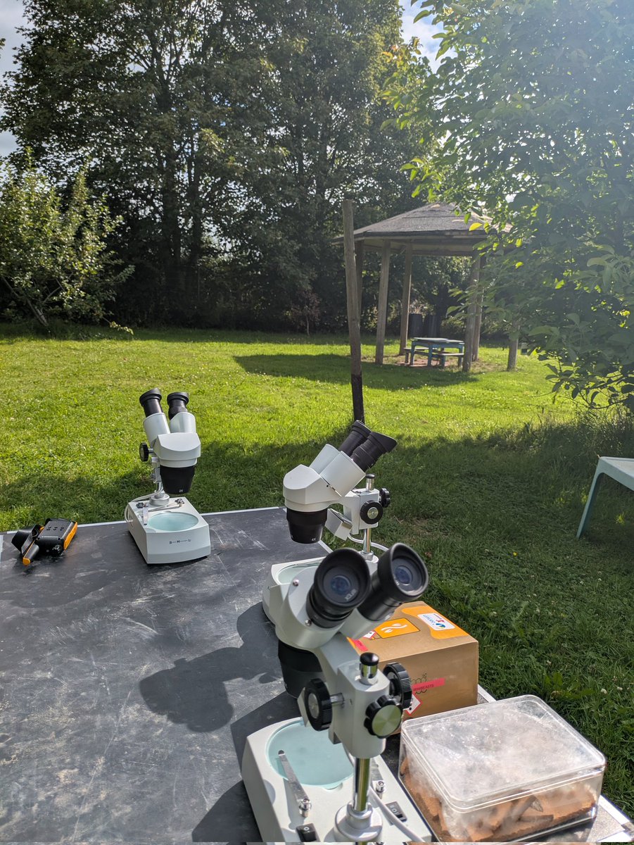 darwincentre's tweet image. Ready for a morning of Minibeasts with @Prendergast2022 gardening holiday club! #STEMclub #GardeninhClub #TerrestialHabitats #Minibeasts #Invertebrates #Microscopes #SweepNetting #Grubbing #ButterflyNets #TreeBeating @DragonLng