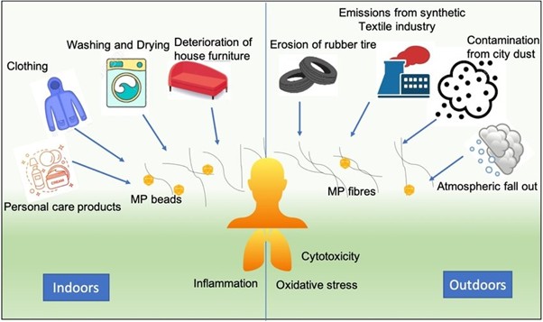 AyusWellness's tweet image. 69% if you’re a woman

55% if you’re a man

Those are the chances that you’ve got microplastic particles in your ovary fluids or semen…

We know from animal studies that microplastics cause:

• Inflammation
• Free radical formation
• DNA damage
• Cellular senescence 
•…