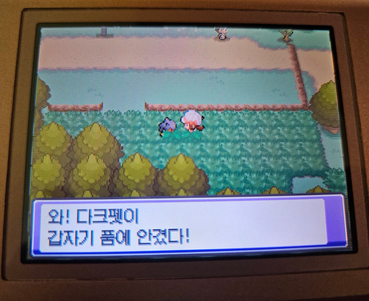 G3NG4RJ04's tweet image. 이럴 때마다 너무 좋아서 엉.하고 울어버려