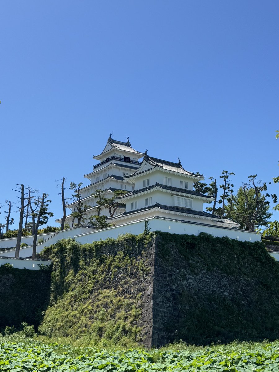 benibame10's tweet image. 長崎・島原を楽しんでます