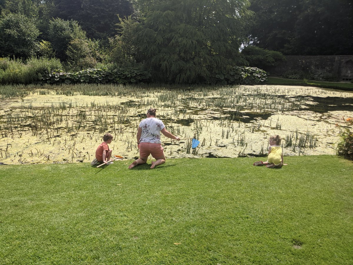 Dyrham Park (@ntdyrhampark) on Twitter photo Another week of Summer of Play kicks off today with an array of dressing up and things to play with under the big gazebo by the house all week. The first ‘nature explorer’ sessions start tomorrow and run every Tuesday until the end of August: bit.ly/3YKtczc
<a href="/StarlingBank/">Starling Bank</a> Another week of Summer of Play kicks off today with an array of dressing up and things to play with under the big gazebo by the house all week. The first ‘nature explorer’ sessions start tomorrow and run every Tuesday until the end of August: bit.ly/3YKtczc
<a href="/StarlingBank/">Starling Bank</a>