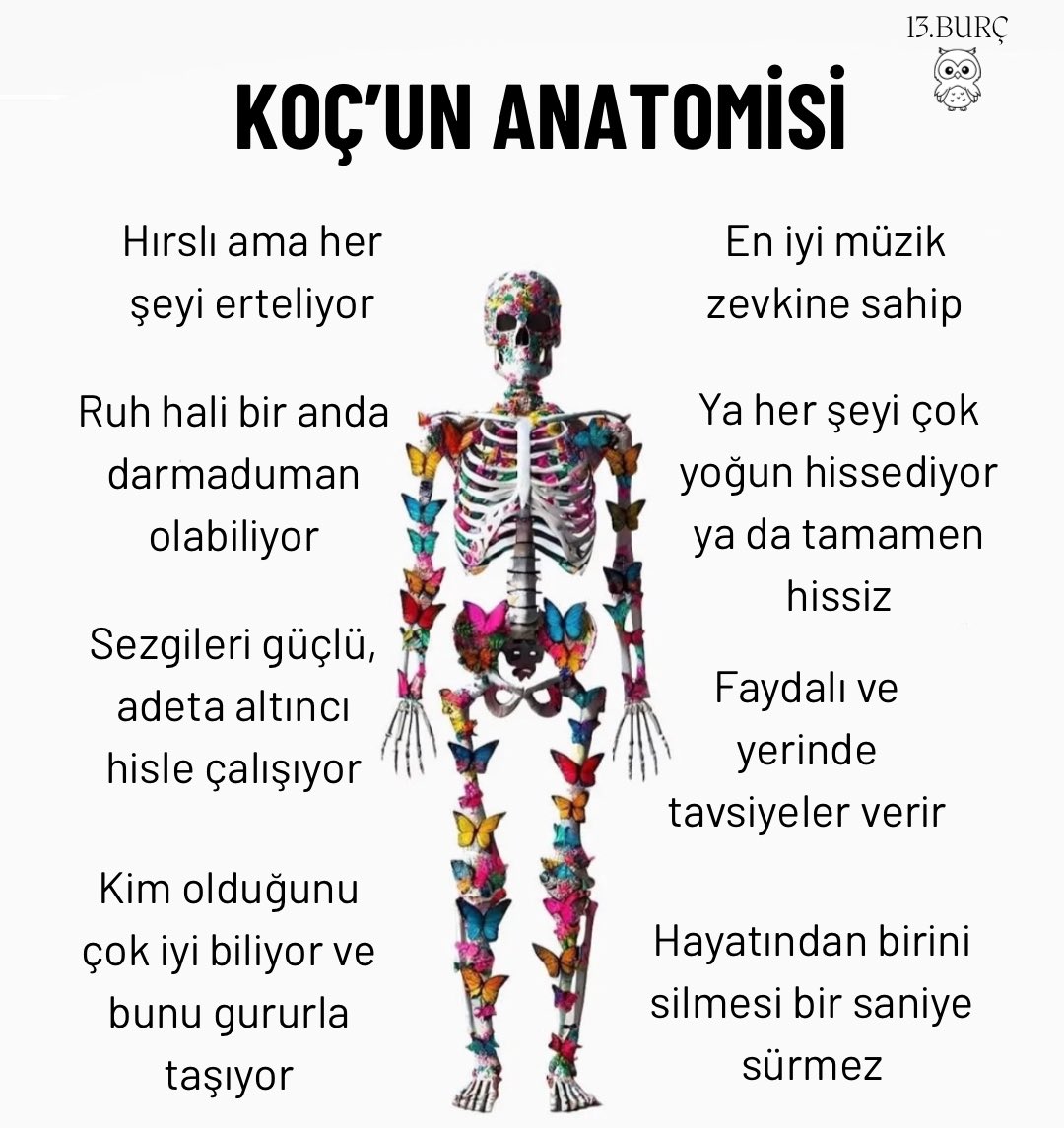 KOÇ’UN ANATOMİSİ