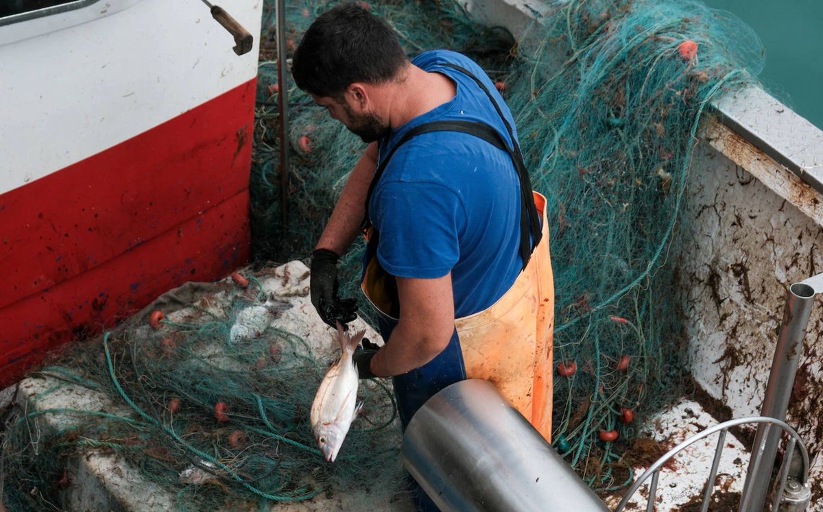 🤦‍♂️Creemos que este plan se ha hecho pensando en el turismo, no en la pesca.
📌Se establecen criterios y obligaciones sin consultar al sector.
‼️No podemos permitir que se nos excluya de decisiones que nos afectan directamente.