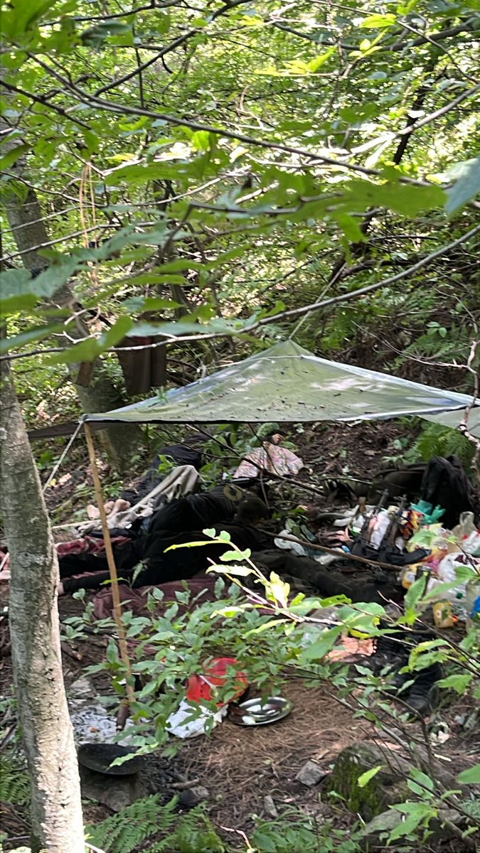 FatimaDar_jk's tweet image. Photographs emerge from the Dachigam forest hideout of Pákistan-sponsored terrórists operating in #Srinagar, Jammu &amp;amp; Kashmir.

Salute to the Indian Army.
In bringing down these terrórists, they didn’t just avenge the #PahalgamTerrorAttack—they delivered justice to the 26 families…