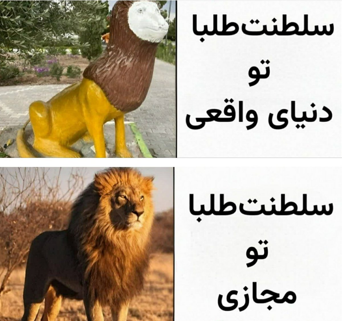 l__k__zohaa's tweet image. اصلا خودِ خودشه😁