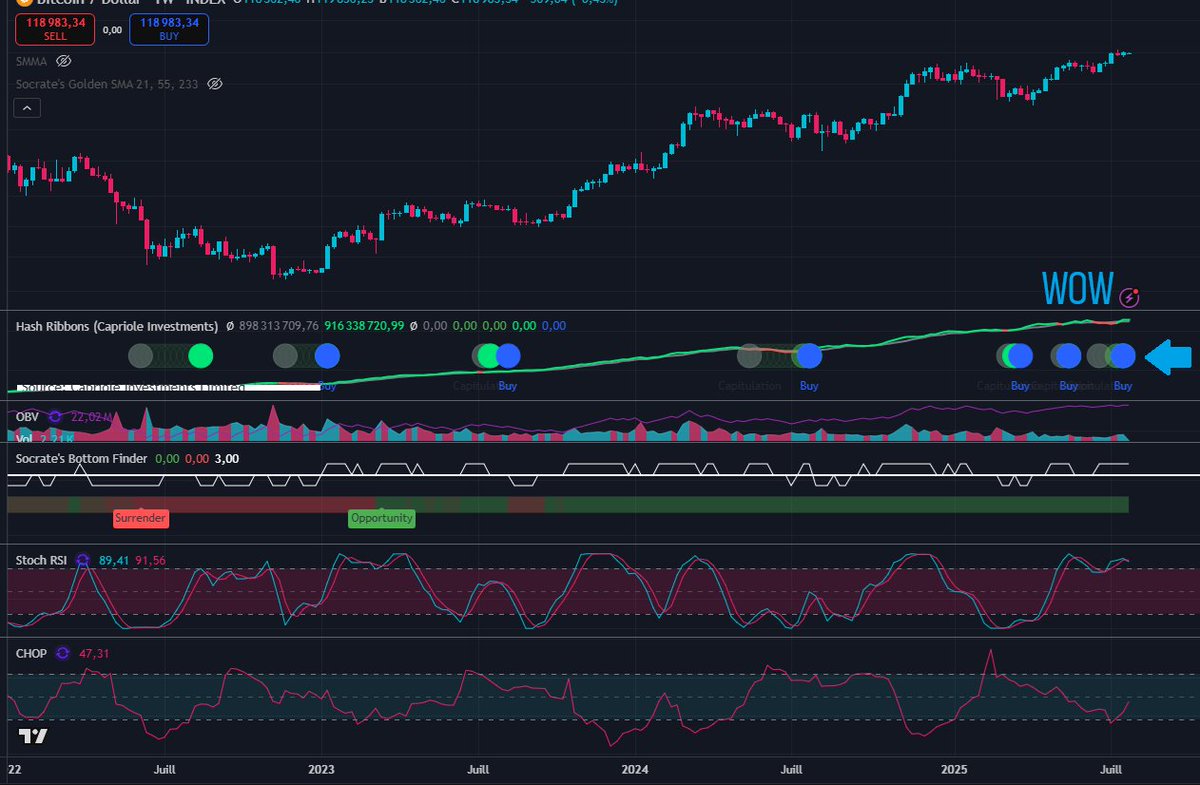 Les Rois du Bitcoin tweet media