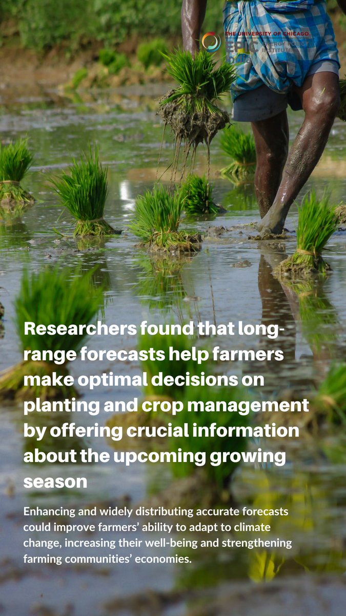 EPIC_India's tweet photo. Can #weatherforecasts improve farmer welfare?
A @EPIC_India project explores this through a large-scale field study in India.
Unlike insurance, forecasts reduce climate risk before damage occurs. The result? A measurable boost in overall welfare. More: https://t.co/iESv7JgroB https://t.co/nfIxONBrv8