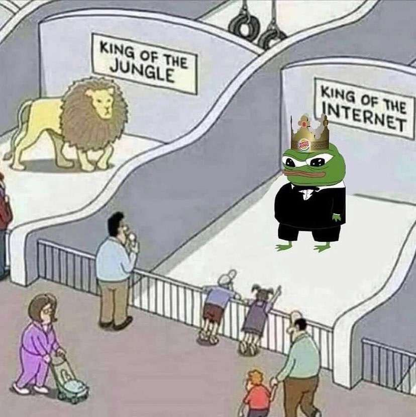 MarcuStaja's tweet image. King of the internet

$apu