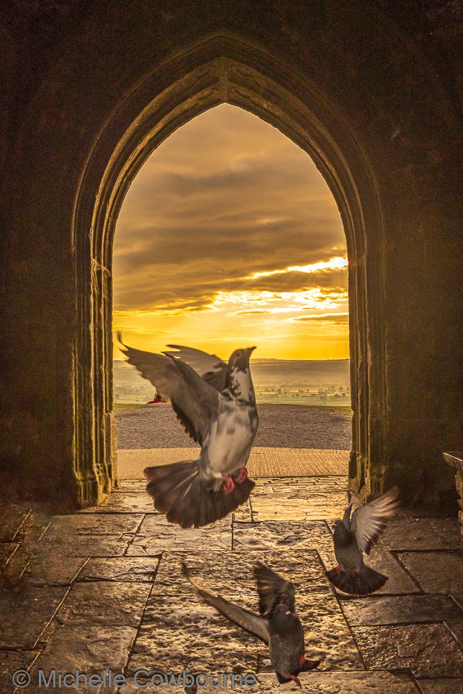 'The Photobomb (x3)' This morning in St Michael's tower on Glastonbury Tor.
