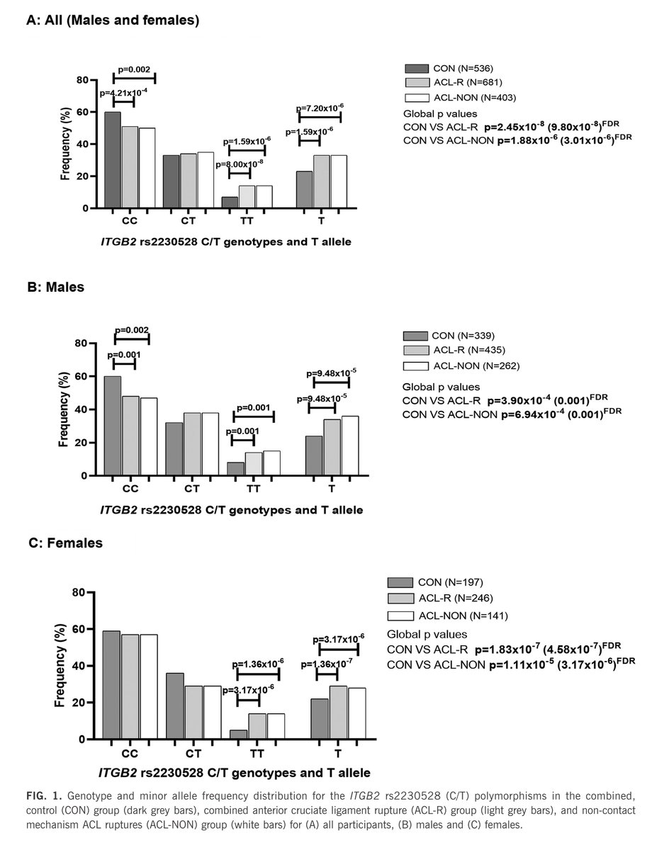 🧬 New gene combo linked to ACL rupture risk!
Study of 1,279 athletes 🇦🇺🇵🇱🇸🇪🇿🇦 shows ITGB2 rs2230528 TT genotype increases ACL injury odds 3.2x (p=8×10⁻⁸)
Protective combo: ITGB2–COL5A1–VEGFA (C-C-A-G / C-T-C-G)
🧩 Small effect, big insight into injury prevention.
#OpenAccess