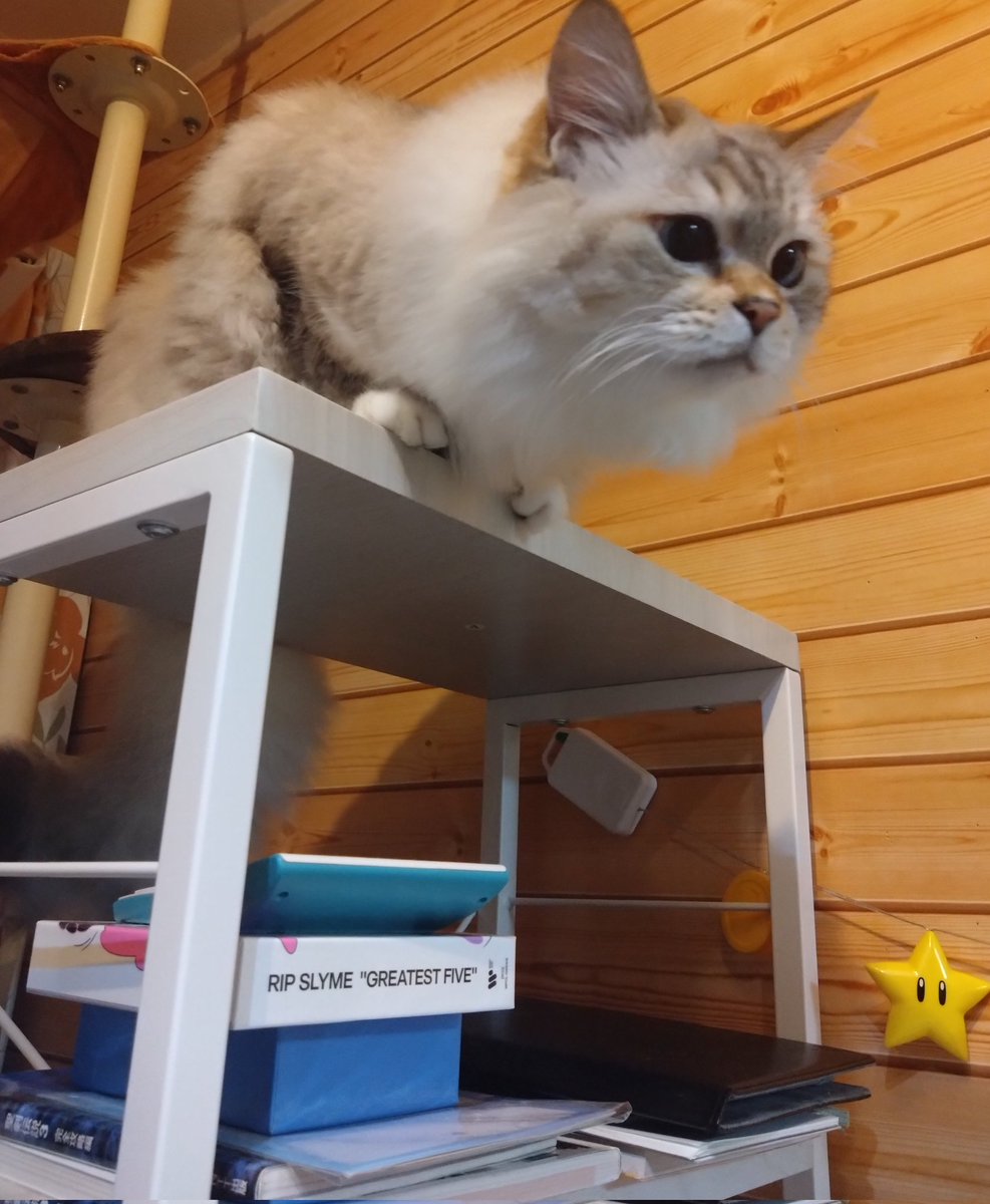 n_kaori0919's tweet image. なに見てんの
何が見えてんの