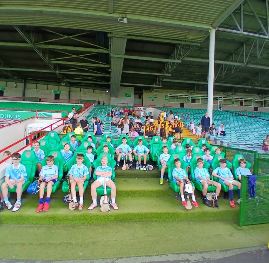 NapGAA's tweet image. Brilliant experience for the U11 hurlers in the Gaelic Grounds on Saturday. Some great games and skills on show by this talented group. 

Well done guys. 👏🏼🔵⚪