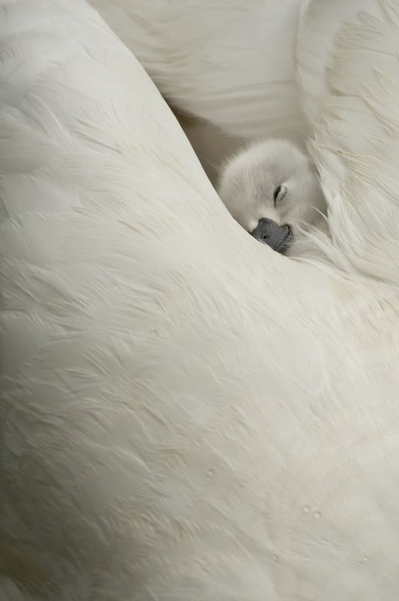 Beautifulenv's tweet image. 