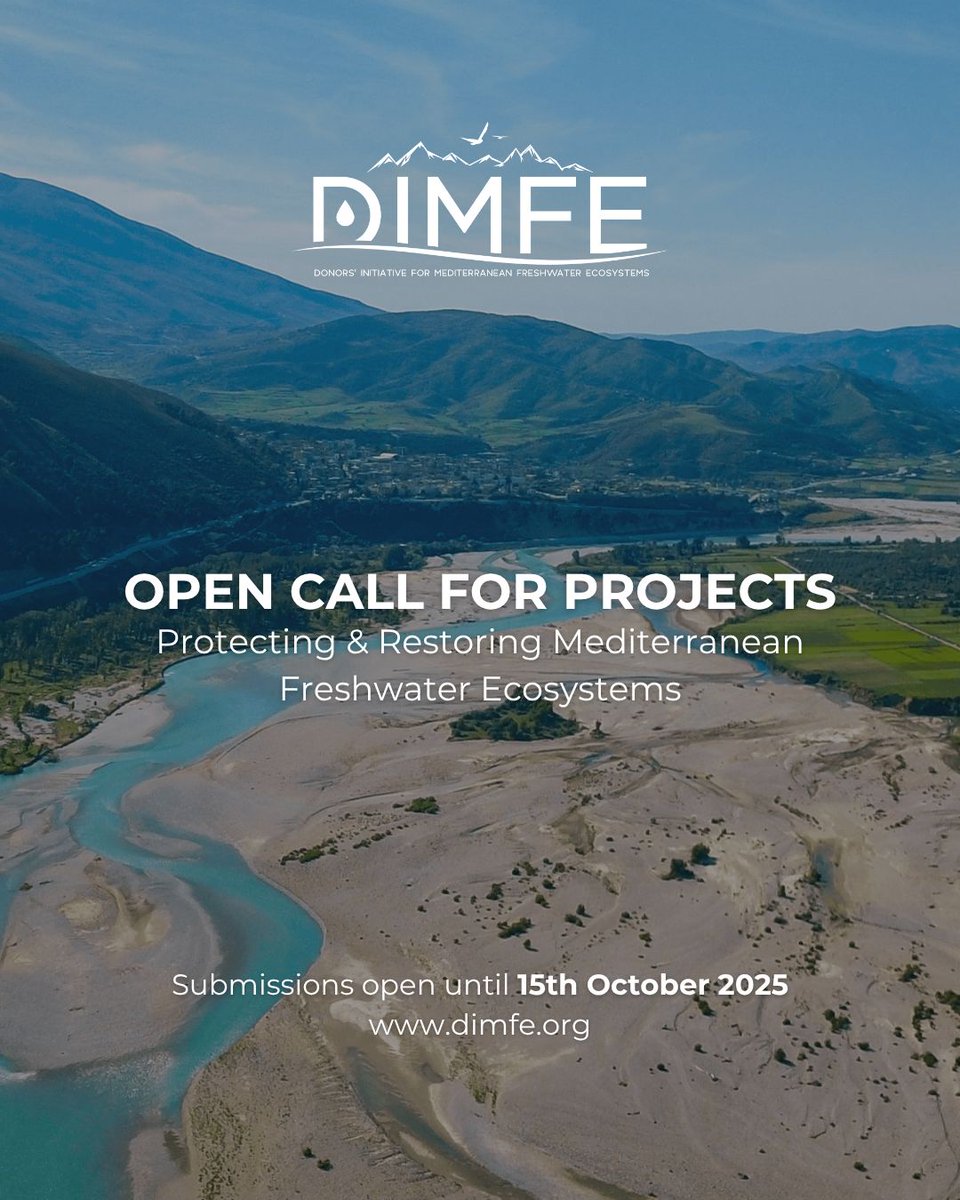 🌊Freshwater matters! The #DIMFE 2025 Call for Projects is now open.

Looking for projects supporting restoration, sustainable water use &amp; community-led conservation across the #Mediterranean 

Funding: €100K - 500K

🗓️ Apply before 15 Oct '25
Info👉shorturl.at/BJQA6