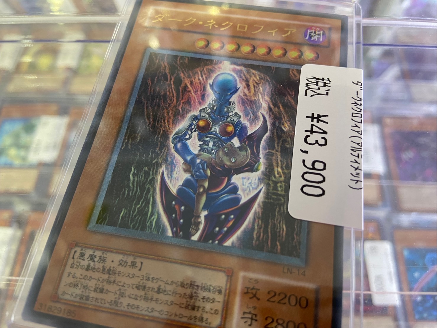 希少ダーク・ネクロフィア色違いノーマル千年原人スーパー 希少ダーク・ネクロフィア色違いノーマル千年原人スーパー （1