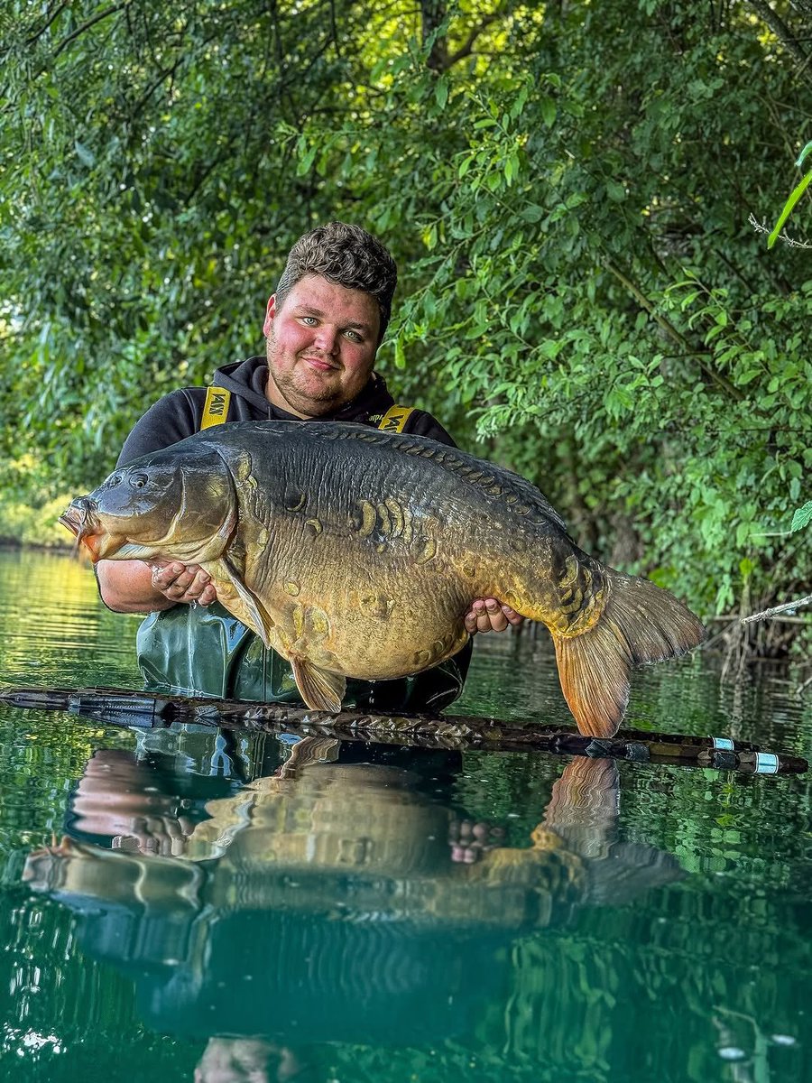 A dream come true…
(Louis Wille)