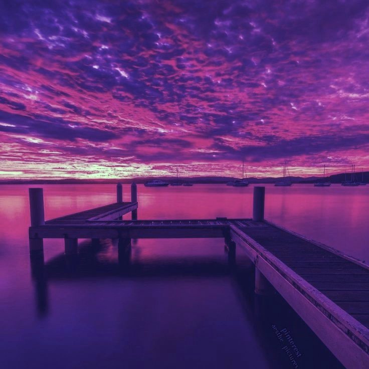 tonesofmood's tweet image. 