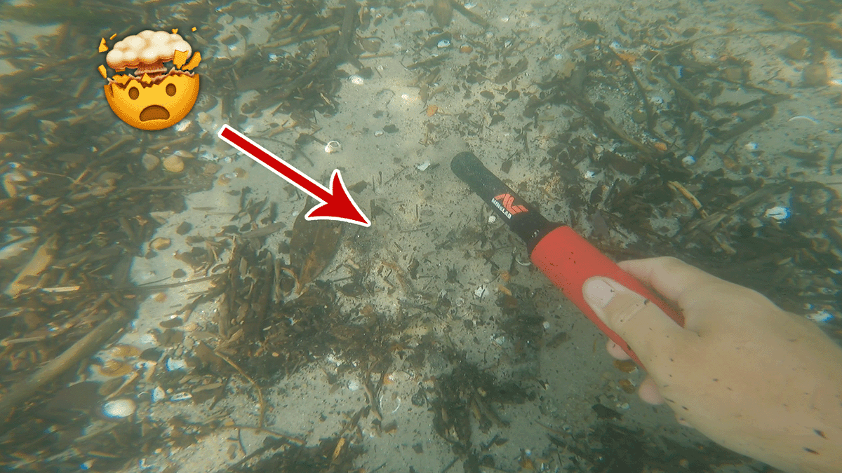 Ho trovato un tesoro perduto sott'acqua con inciso un numero di telefono, e ho deciso di chiamare.  
youtu.be/Lt6VoLK1_3E
.
.
#metaldetecting #snorkeling #minelab #jewels #cacciaaltesoro #Italy